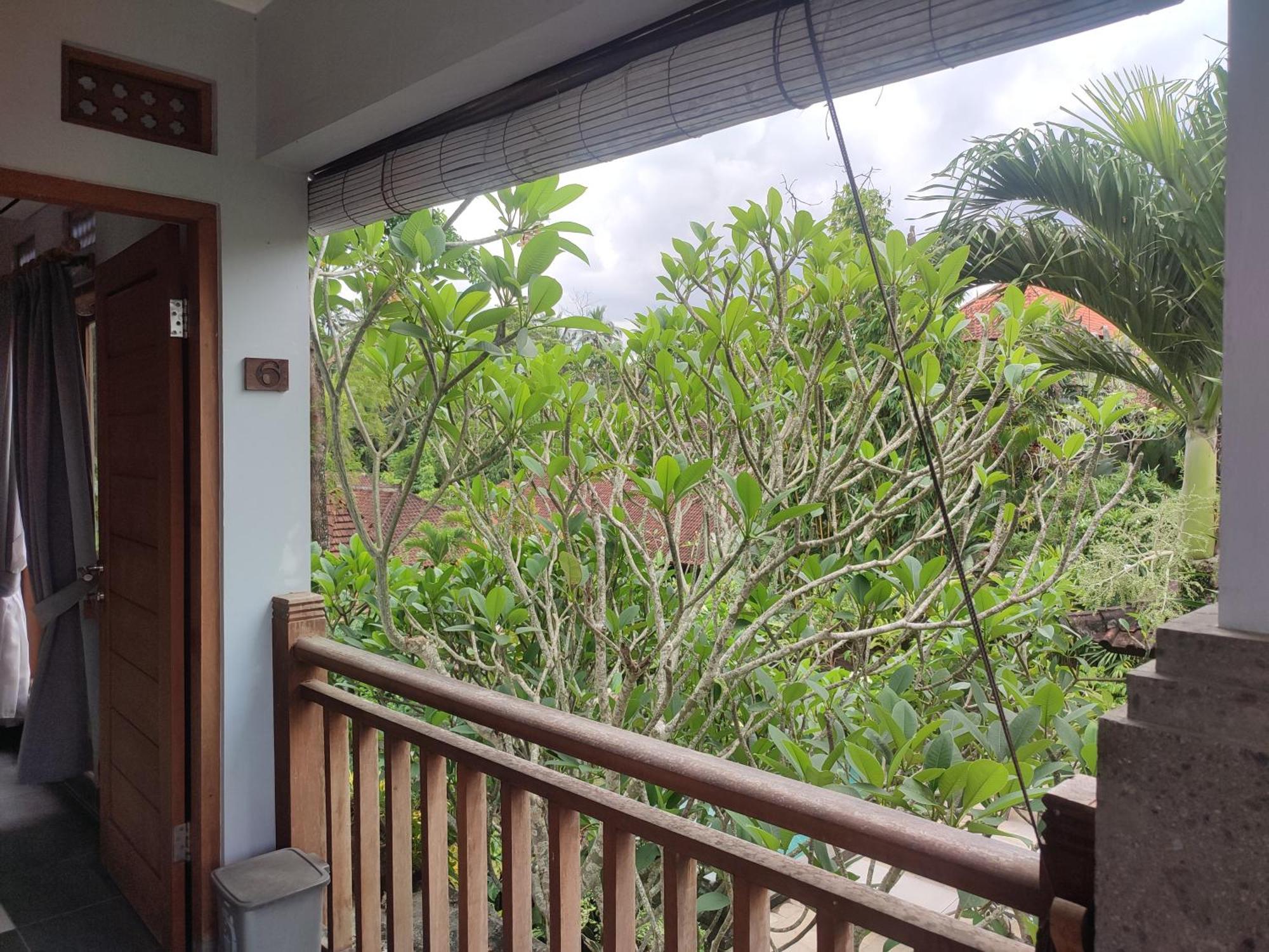 Nyoman Ubud