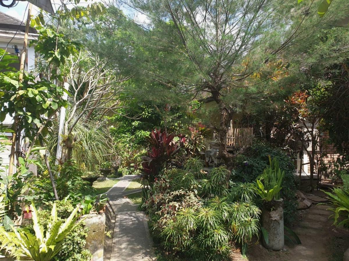 Nyoman Frühstückspension Ubud