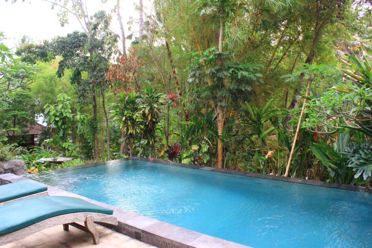 Nyoman Bed & Breakfast